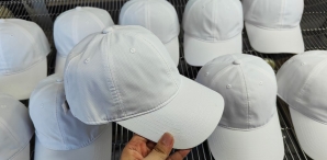 upload/20240120101159.jpg