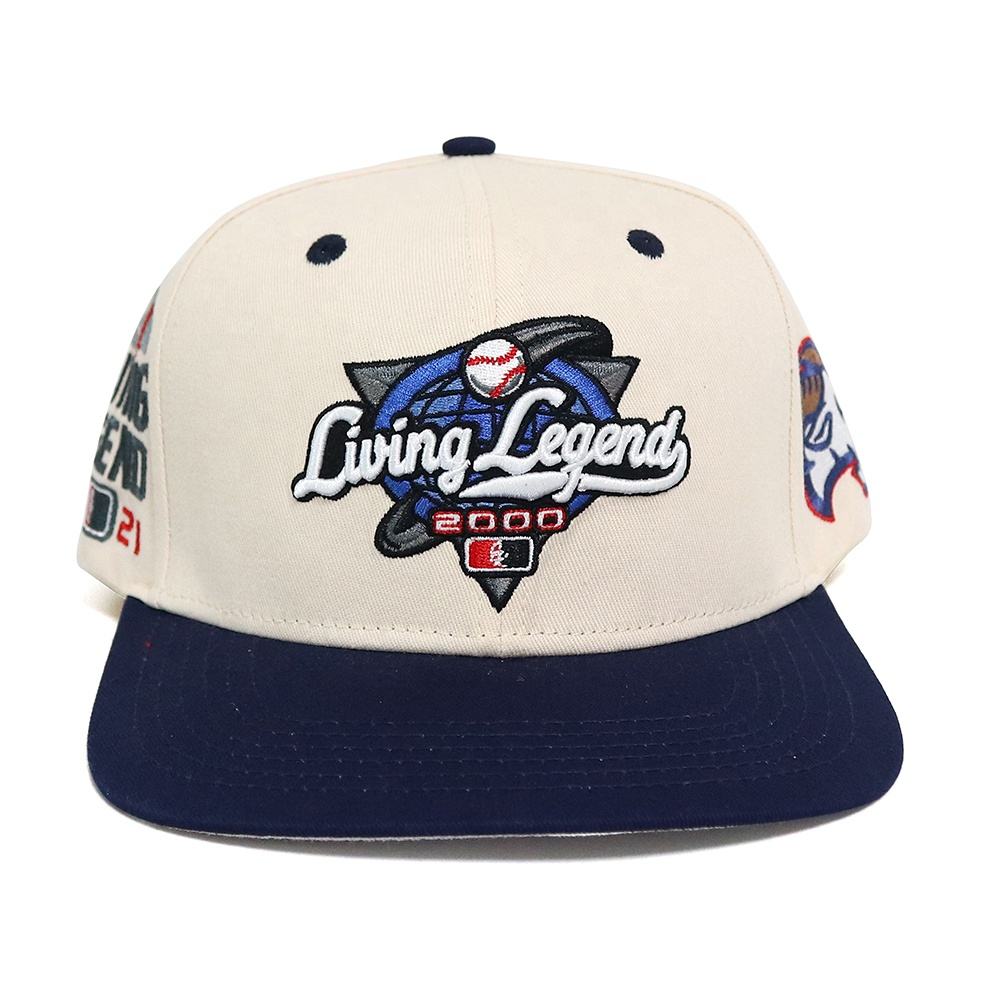 logo 3D embroidery hi-hop street wearing snapback hat